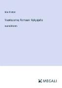 Vuorisaarna; Romaani Nykyajalta