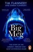 Big Meg