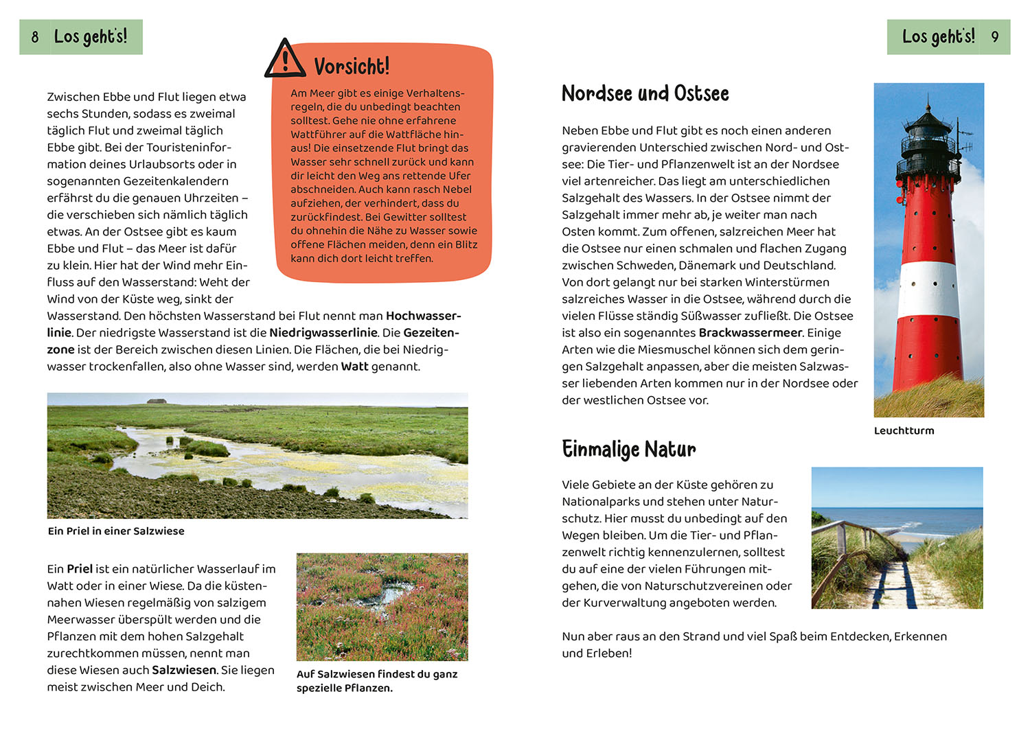 Beispielinhalt (Bild) Was lebt an Strand und Küste? Kindernaturführer
