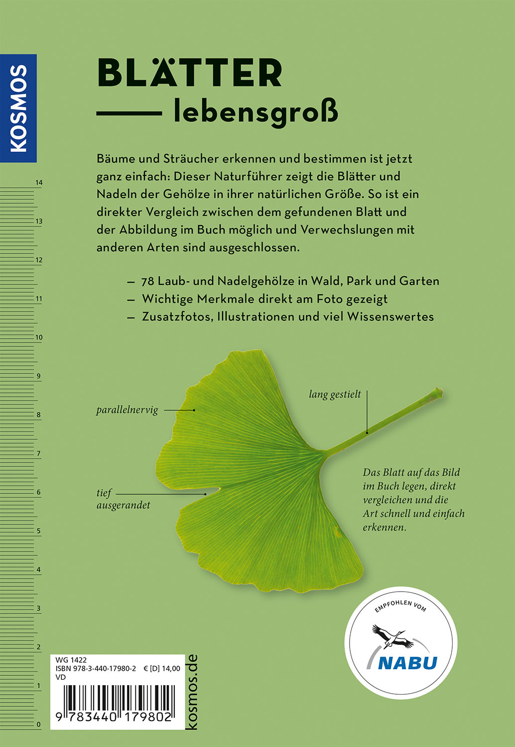 Rückseitencover Bäume am Blatt erkennen - 78 Laub- und Nadelgehölze. Blätter in Originalgröße