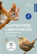 Gartentiere lebensgroß