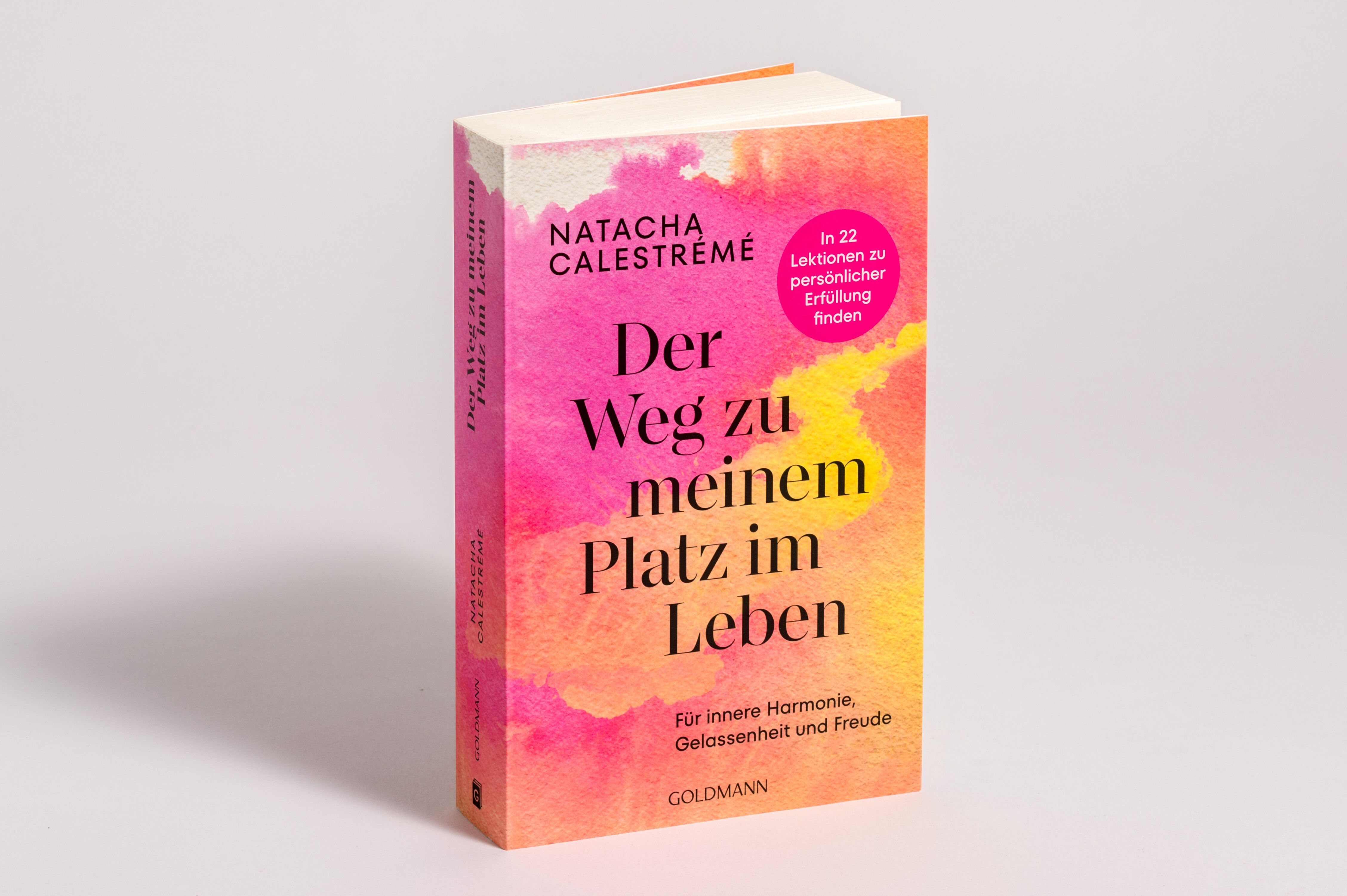 Beispielinhalt (Bild) Der Weg zu meinem Platz im Leben