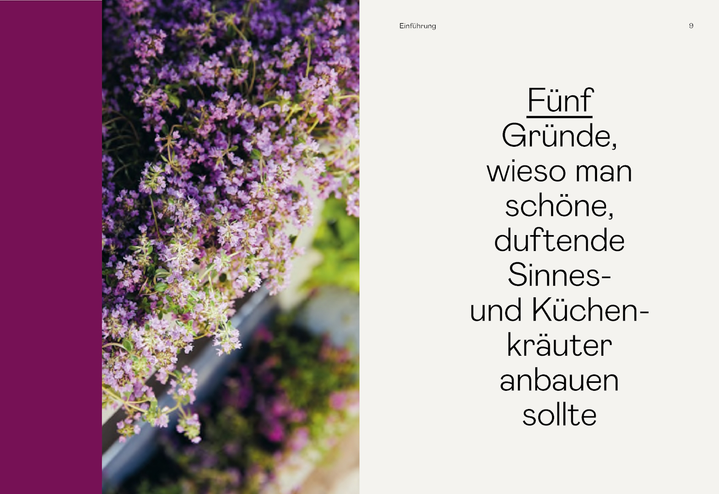 Beispielinhalt (Bild) Kräuter, Kräuter, Kräuter