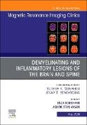 Demyelinating and Inflammatory Lesions of the Brain and Spine, An Issue of Magnetic Resonance Imaging Clinics of North America: Volume 32-2