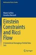 Einstein Constraints and Ricci Flow