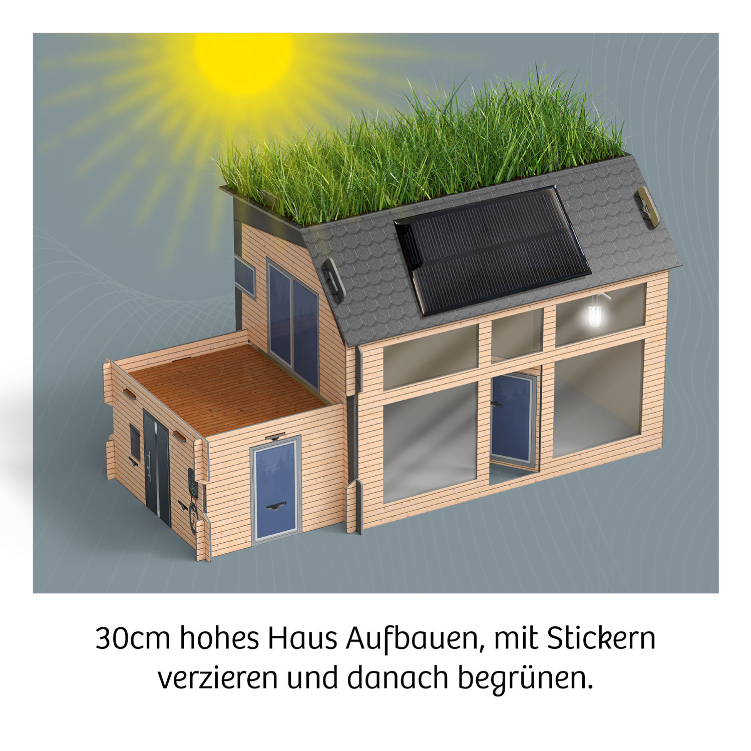 Beispielinhalt (Bild) Eco Haus