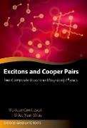 Excitons and Cooper Pairs