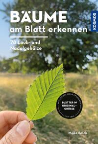Vorderes Coverbild Bäume am Blatt erkennen - 78 Laub- und Nadelgehölze. Blätter in Originalgröße