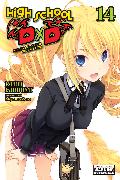 High School DxD, Vol. 14 (light novel)