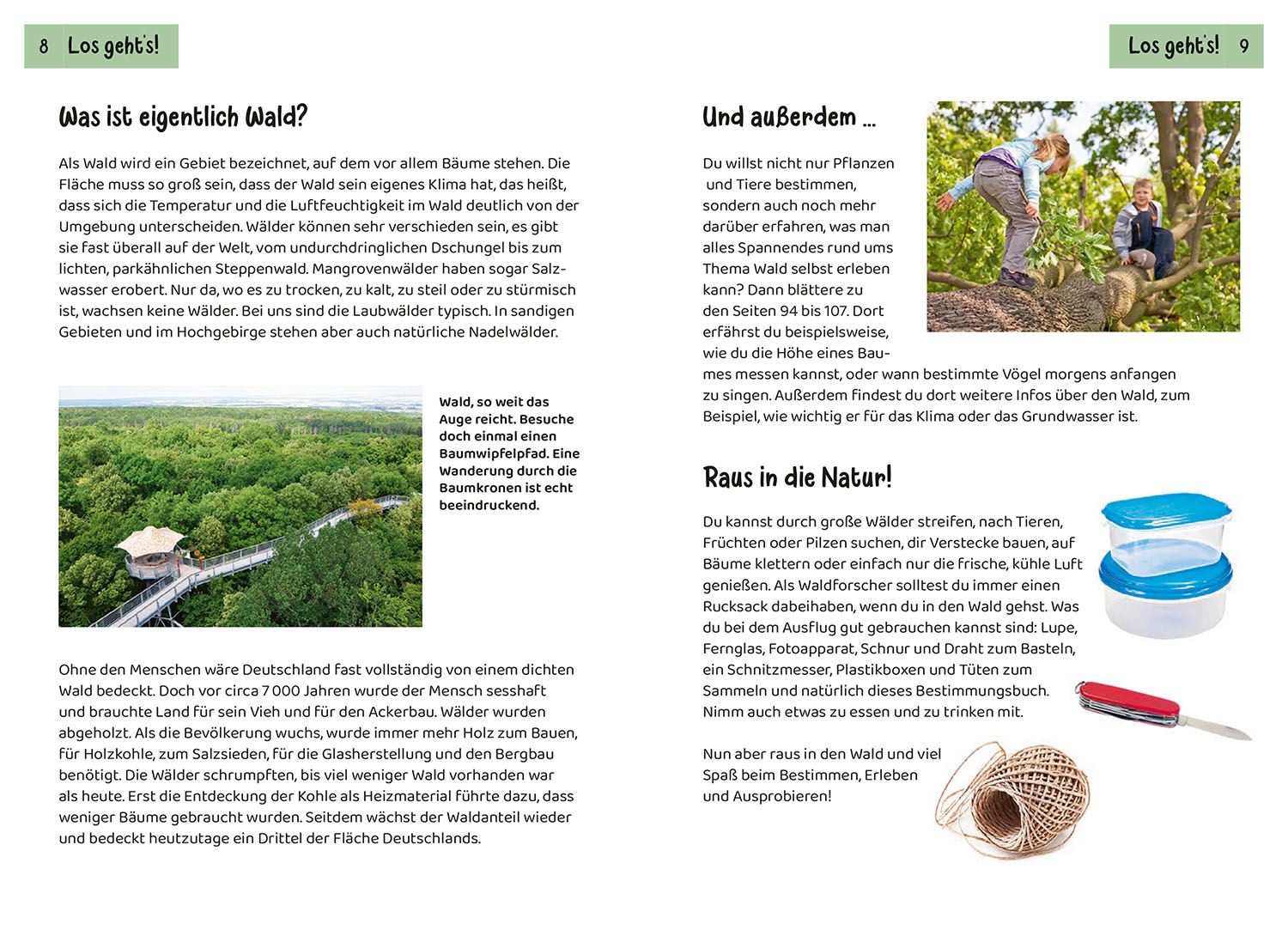 Beispielinhalt (Bild) Was lebt im Wald? Kindernaturführer