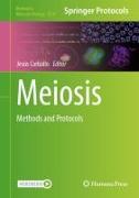 Meiosis