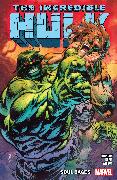 INCREDIBLE HULK VOL. 3: SOUL CAGES