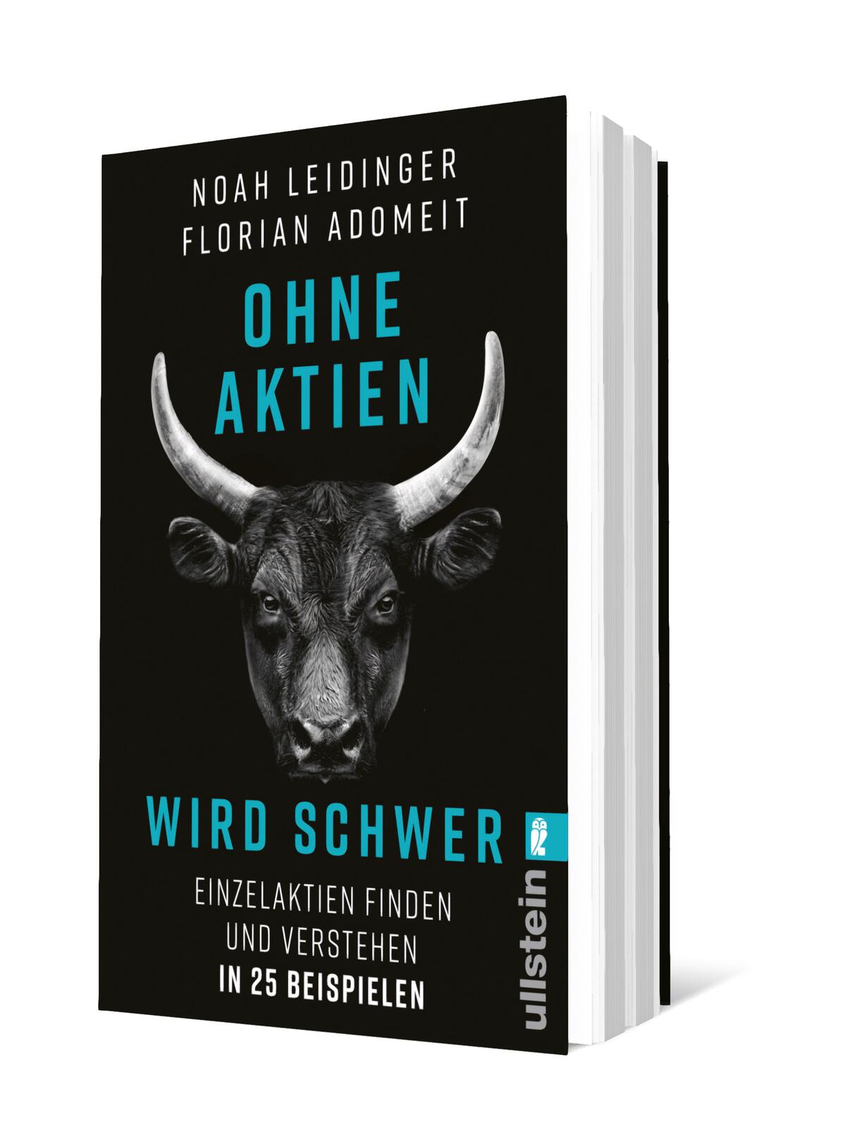 Anderes Coverbild Ohne Aktien Wird Schwer