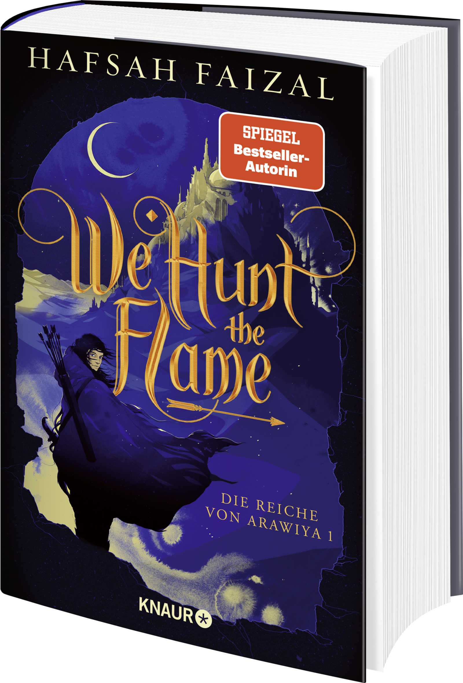 Anderes Coverbild We hunt the Flame