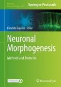 Neuronal Morphogenesis