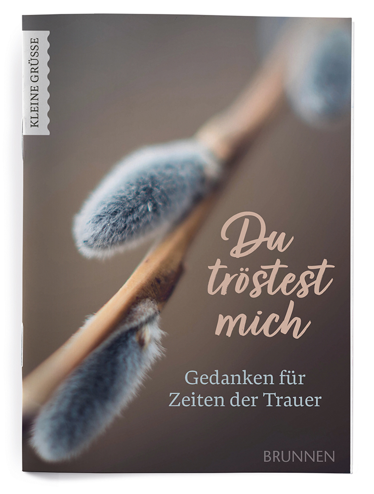 Anderes Coverbild Du tröstest mich