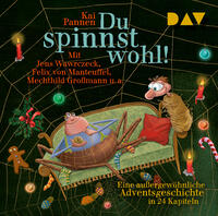 Vorderes Coverbild Du spinnst wohl! Eine außergewöhnliche Adventsgeschichte in 24 Kapiteln