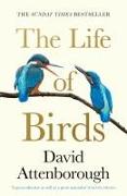 The Life of Birds