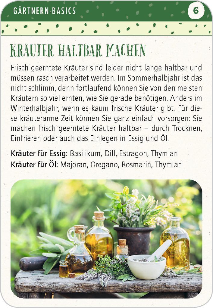 Beispielinhalt (Bild) Blatt & Blüte Kräuterglück