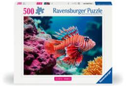 Adult puzzle 500 Teile - Der Rotfeuerfisch