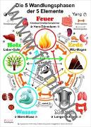 Die 5 Wandlungsphasen