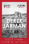 Derek Jarman: The Authorised Biography