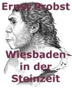 Vorderes Coverbild Wiesbaden in der Steinzeit