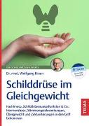 Schilddrüse im Gleichgewicht