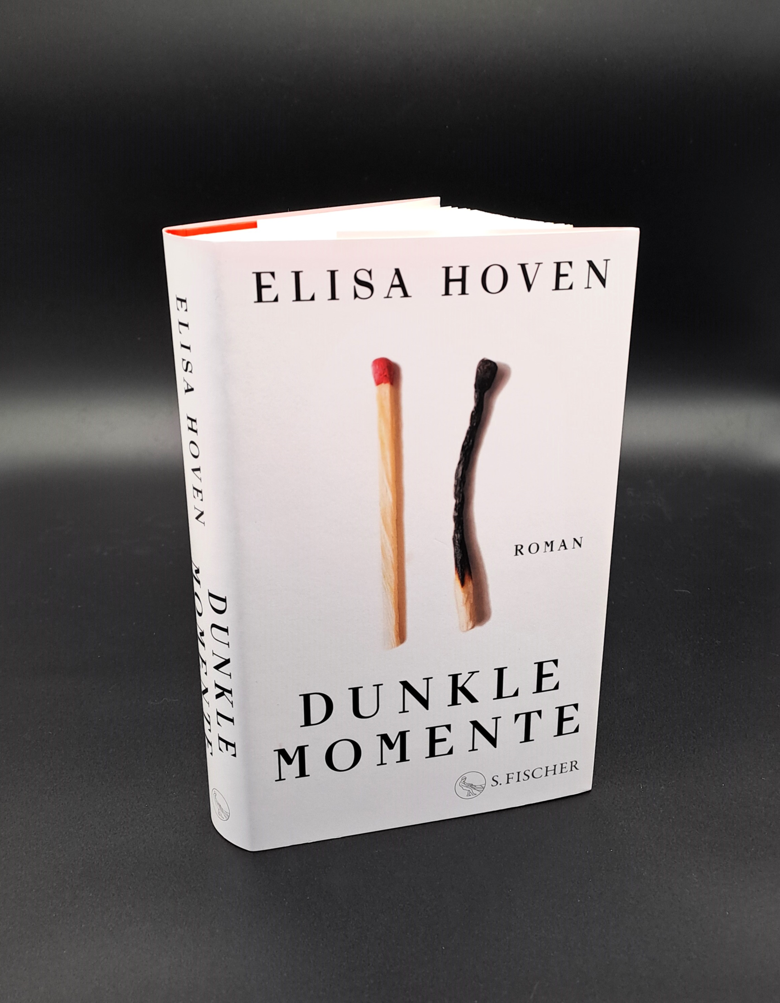Beispielinhalt (Bild) Dunkle Momente