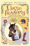 Horse Academy – Sommer der Entscheidungen