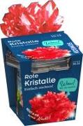 Rote Kristalle selbst züchten