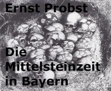 Vorderes Coverbild Die Mittelsteinzeit in Bayern