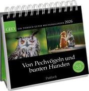 Postkartenkalender 2026: Von Pechvögeln und bunten Hunden