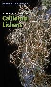 A Field Guide to California Lichens