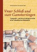 Unser Schloß und statt Gammertingen