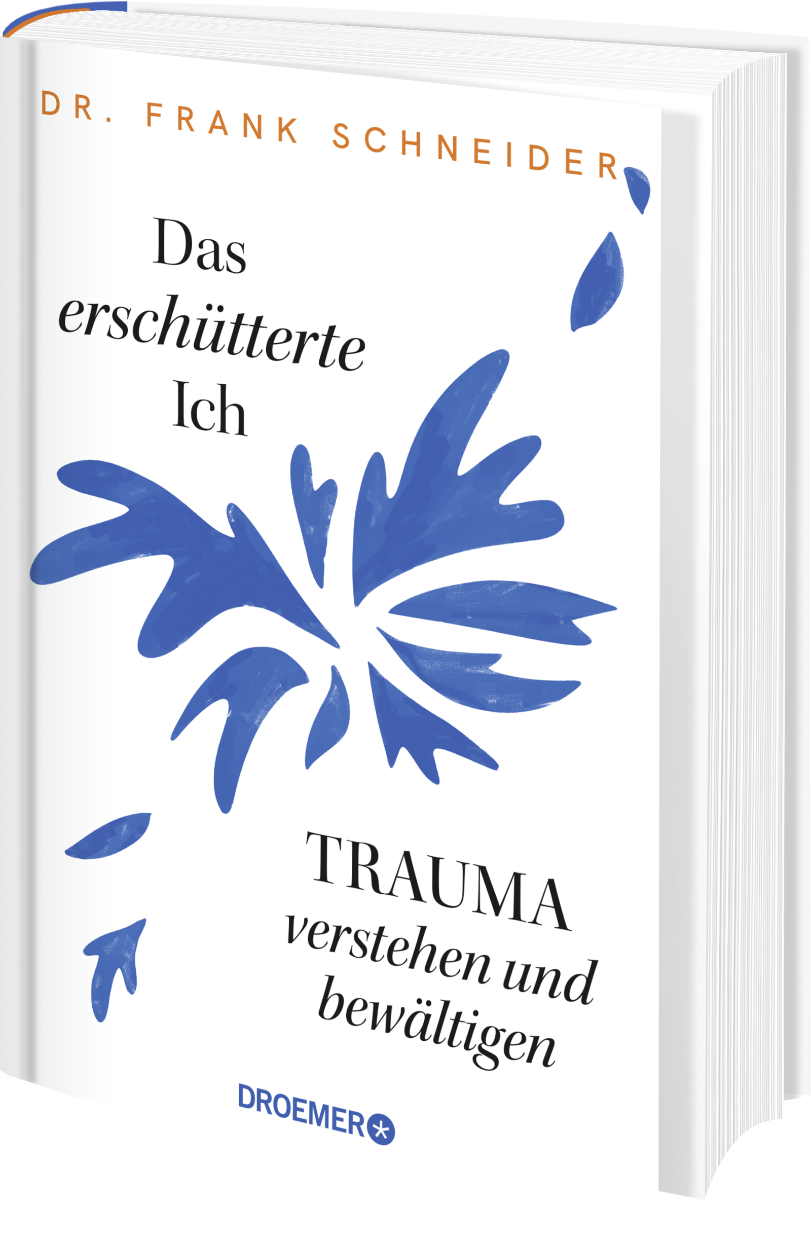 Anderes Coverbild Das erschütterte Ich