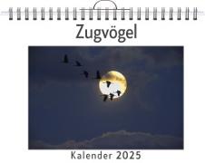 Vorderes Coverbild Zugvögel