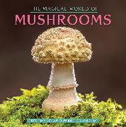 The Magical World of Mushrooms Wall Calendar 2026