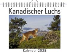 Kanadischer Luchs