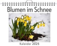 Blumen im Schnee