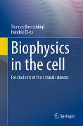 Biophysics in the cell