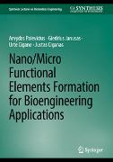 Nano/micro Functional Elements Formation for Bioengineering Applications