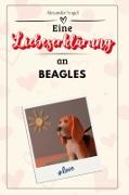 Eine Liebeserklärung an Beagles