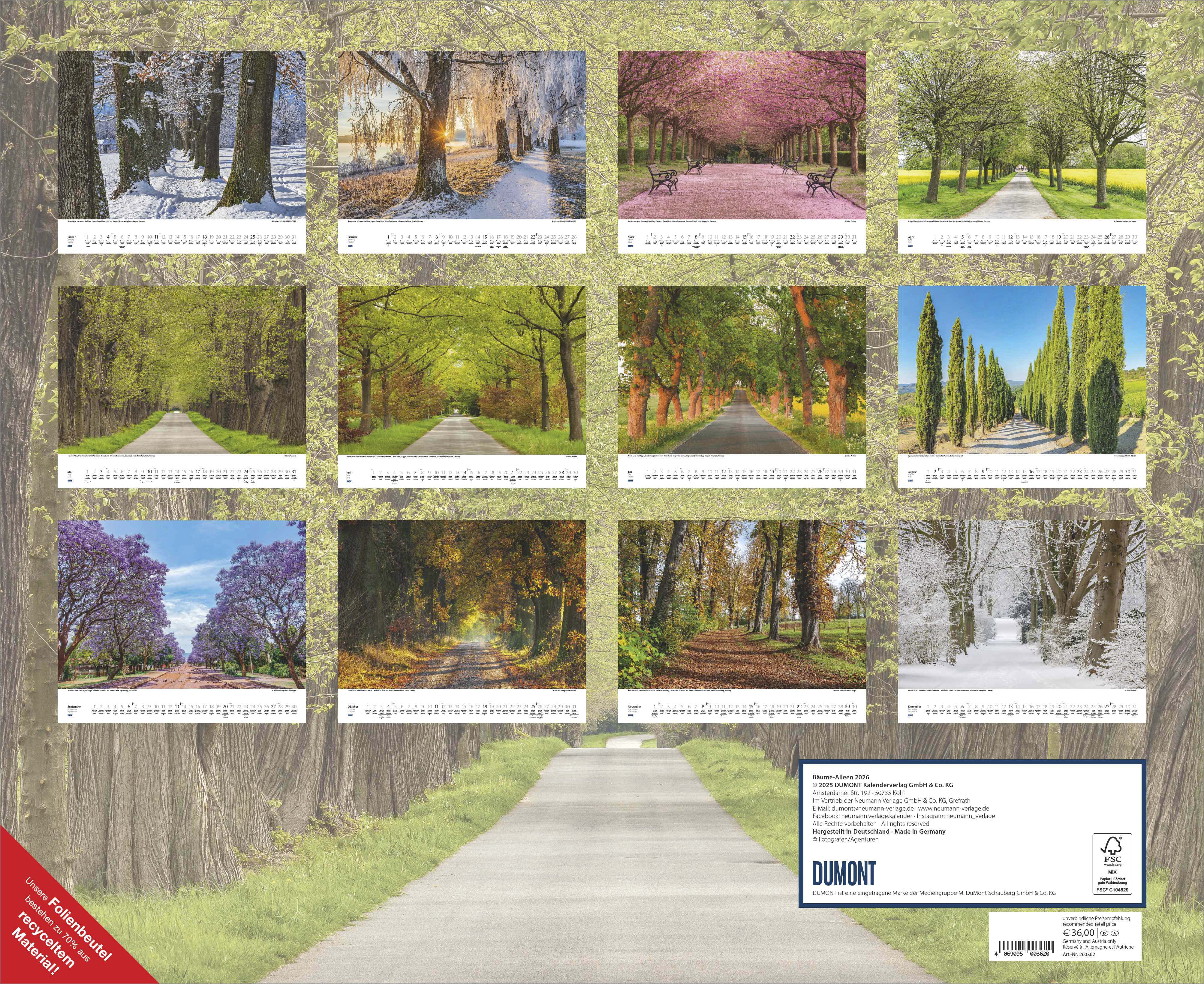 Beispielinhalt (Bild) Bäume – Alleen 2026 – Wandkalender 52 x 42,5 cm – Spiralbindung