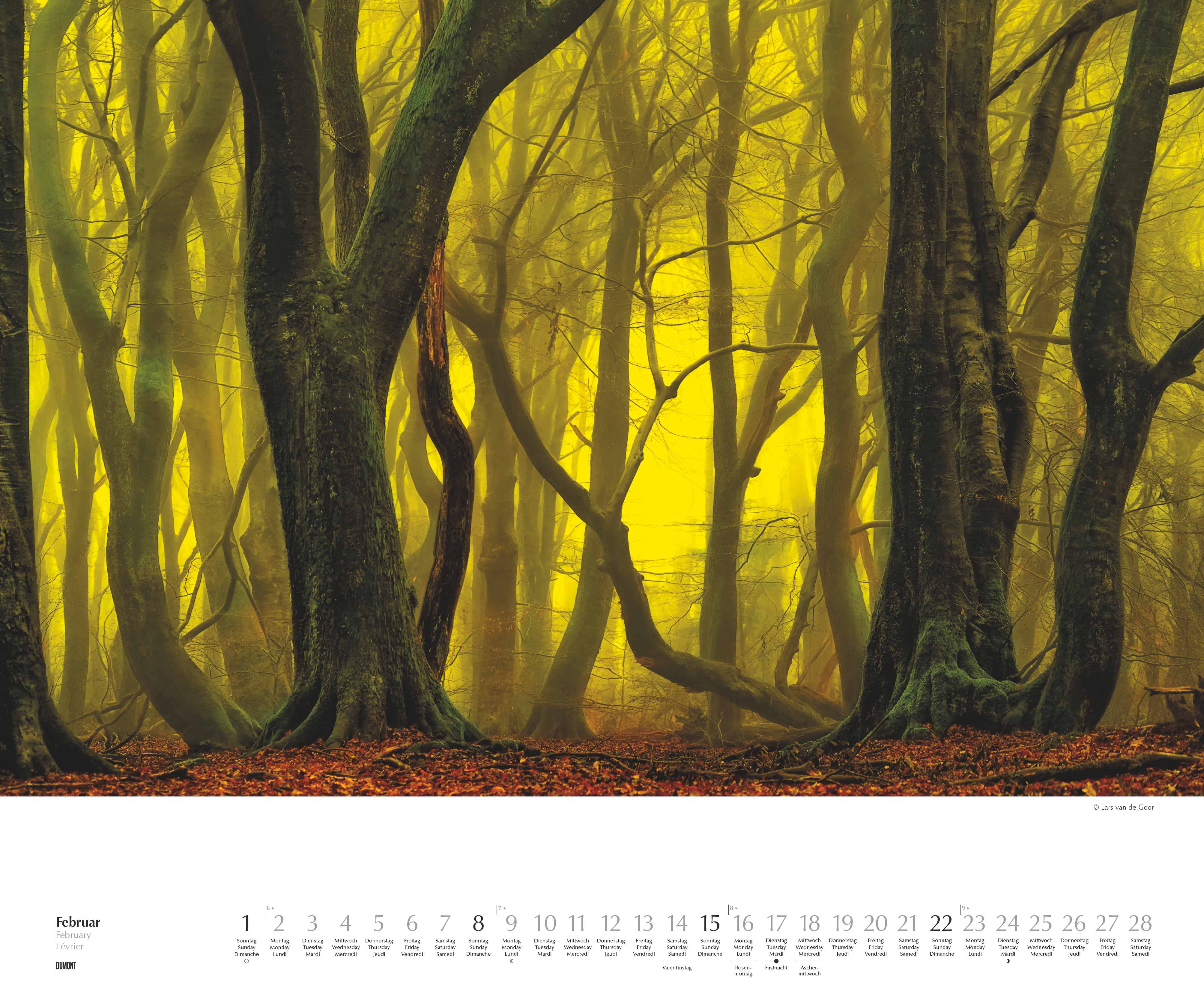 Beispielinhalt (Bild) Waldspaziergang 2026 – Fotokunst-Kalender – Querformat 60 x 50 cm – Spiralbindung