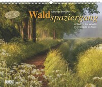 Vorderes Coverbild Waldspaziergang 2026 – Fotokunst-Kalender – Querformat 60 x 50 cm – Spiralbindung
