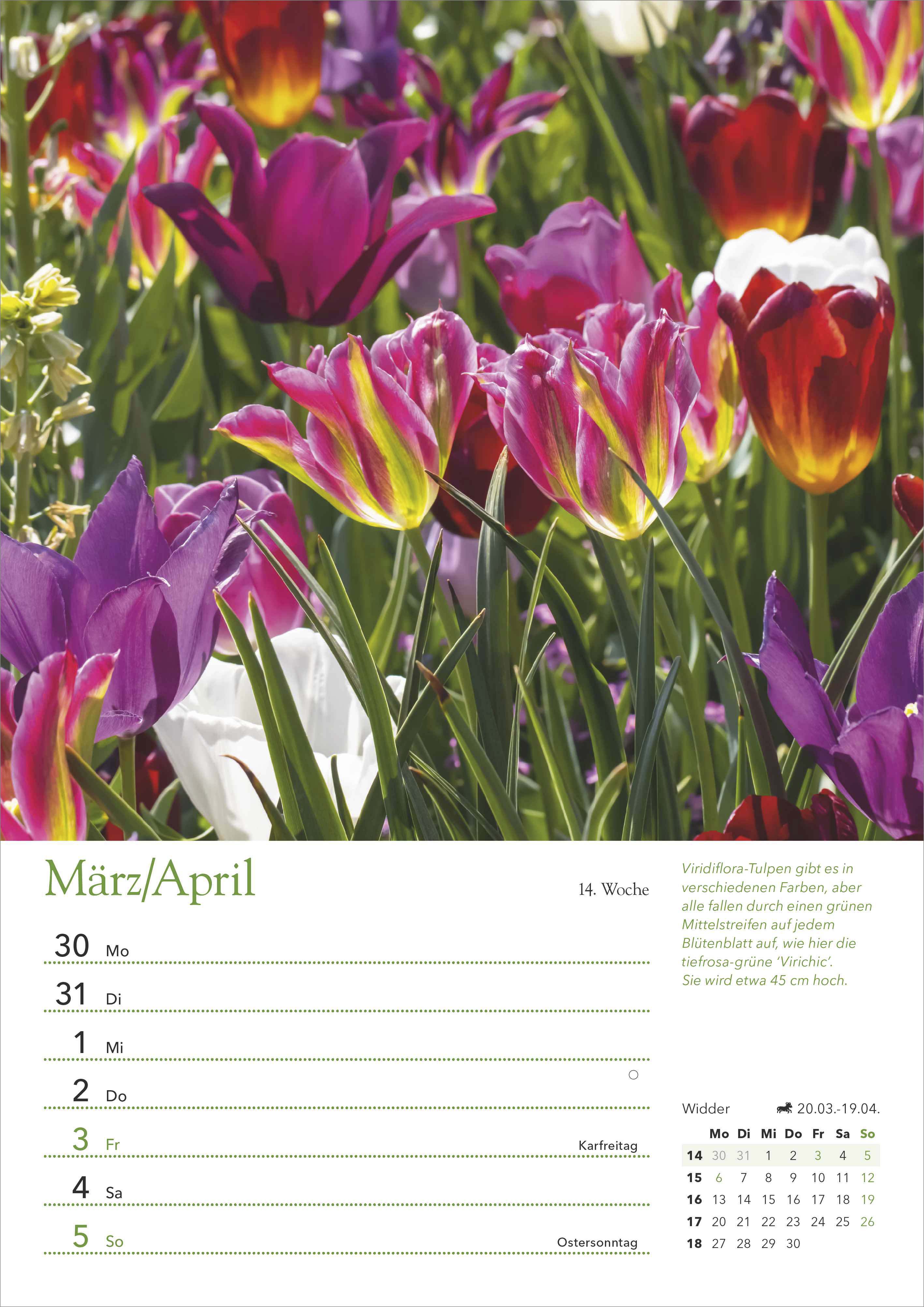 Beispielinhalt (Bild) Ein Jahr in meinem Garten – Wochenkalender 2026 – Garten-Kalender mit 53 Blatt – Format 21,0 x 29,7 cm – Spiralbindung