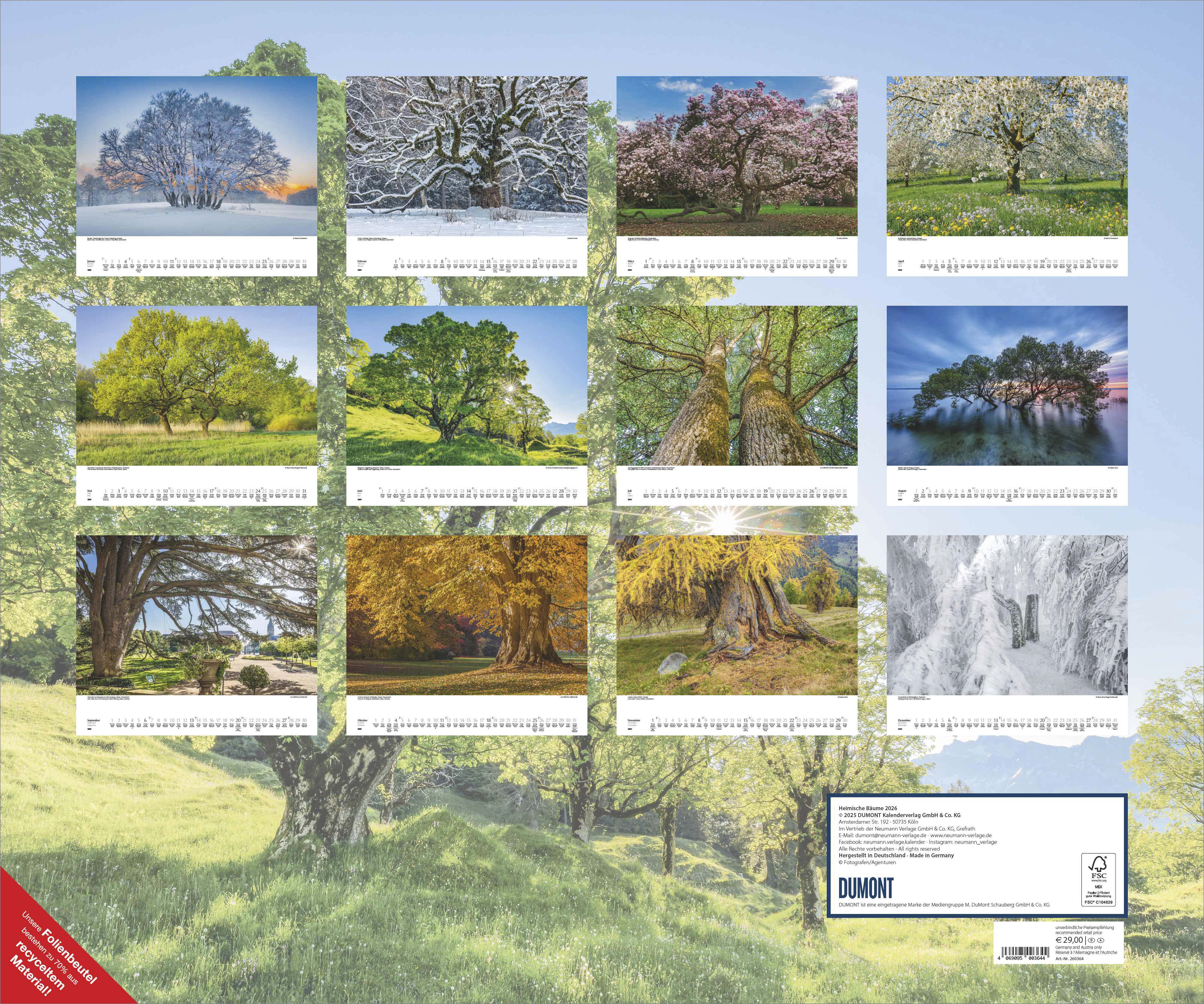 Beispielinhalt (Bild) Heimische Bäume 2026 – Wandkalender 60x50 cm – Spiralbindung