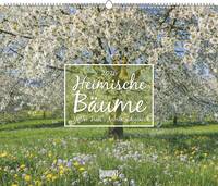 Vorderes Coverbild Heimische Bäume 2026 – Wandkalender 60x50 cm – Spiralbindung