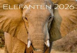 Elefanten Kalender 2026